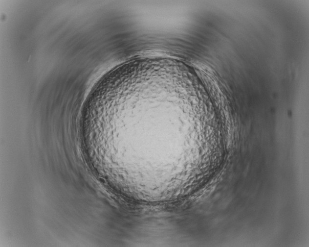 X0000088020289200705251058