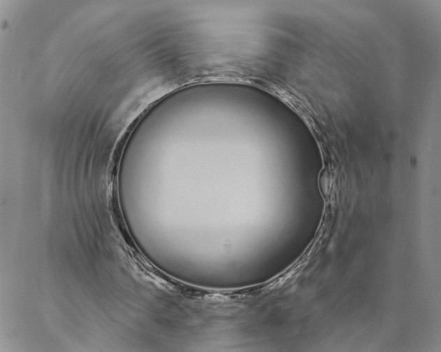 X0000088020290200705251058