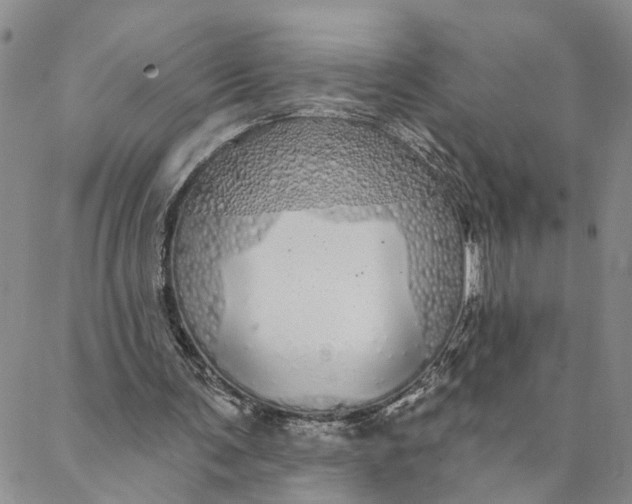 X0000088020291200705251058