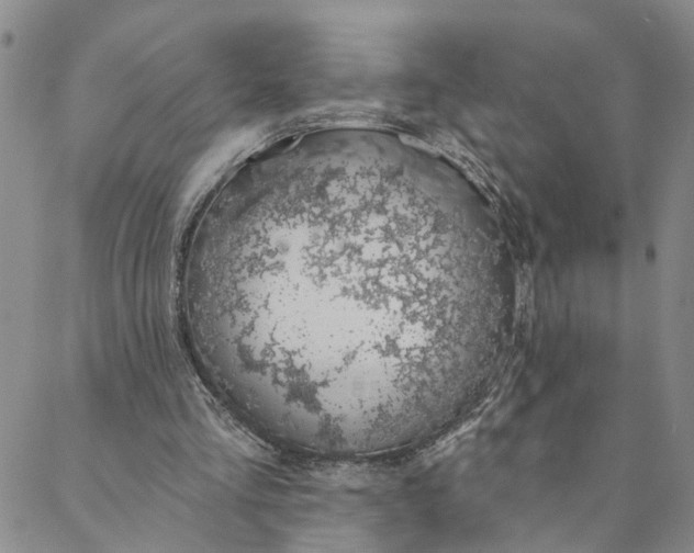 X0000088020293200705251058