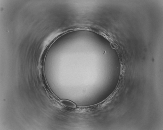 X0000088020294200705251058