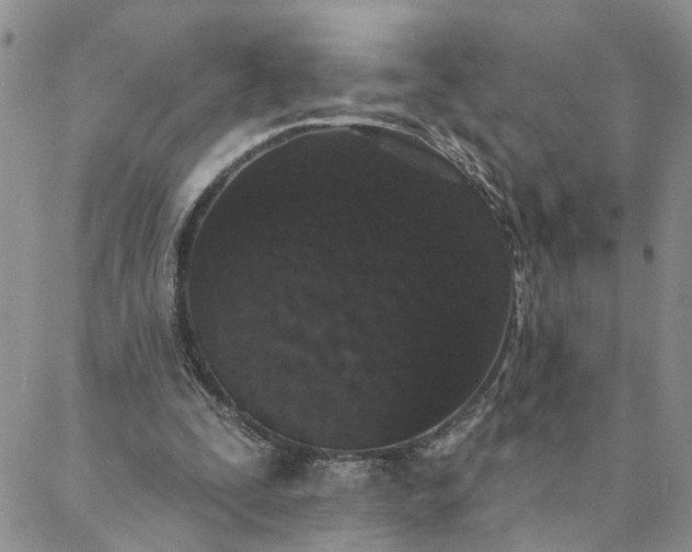 X0000088020295200705251058