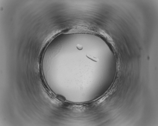 X0000088020298200705251058