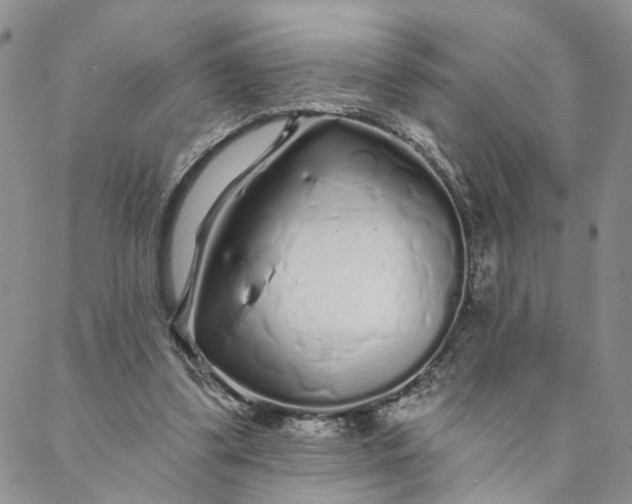 X0000088020299200705251058