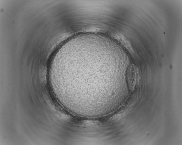 X0000088020300200705251058