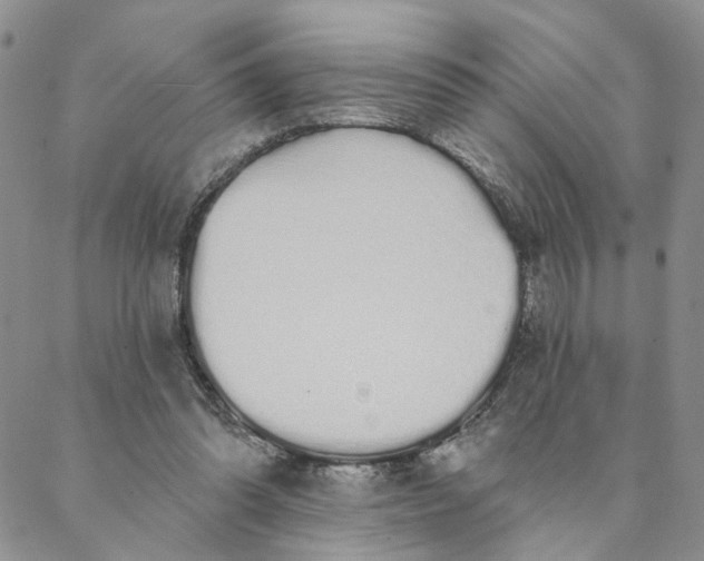 X0000088020302200705251058