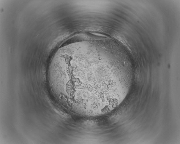 X0000088020303200705251058