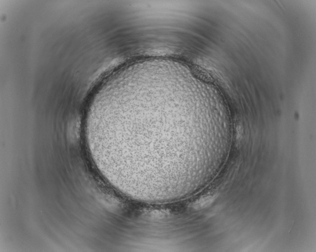 X0000088020304200705251058