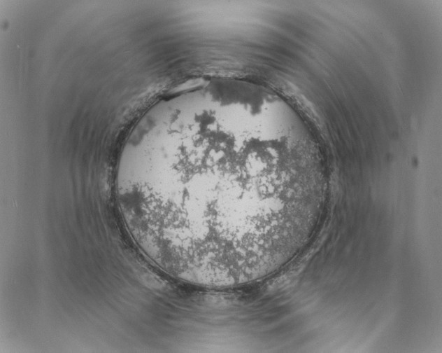 X0000088020305200705251058