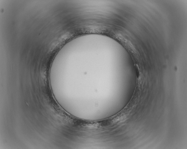 X0000088020306200705251058