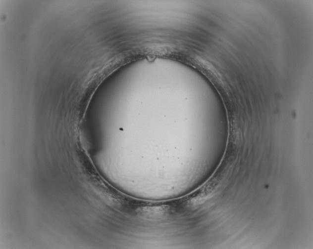 X0000088020307200705251058