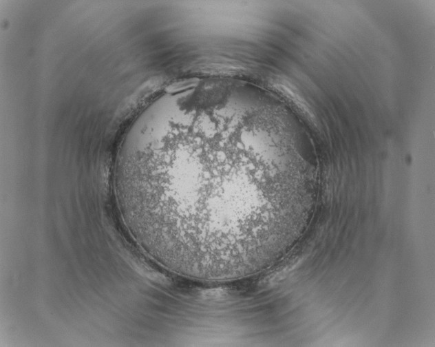 X0000088020309200705251058