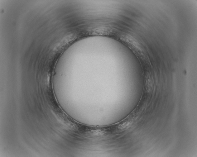 X0000088020310200705251058