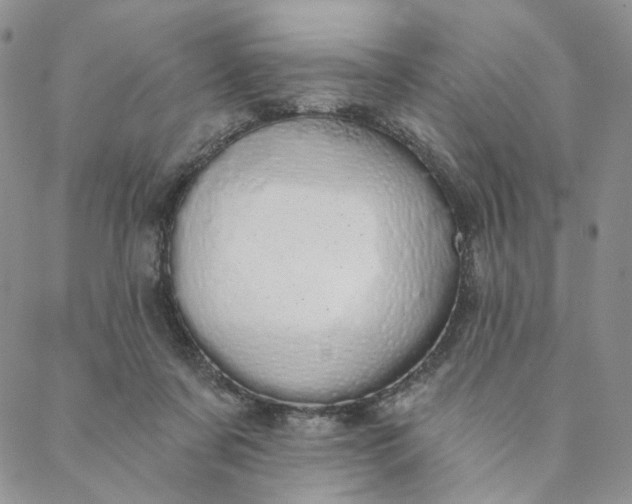 X0000088020311200705251058