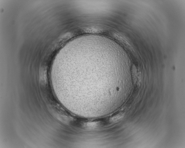 X0000088020312200705251058