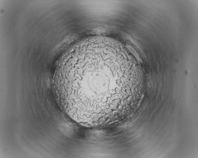 X0000088020313200705251058