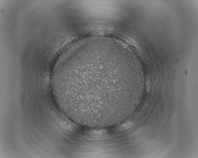 X0000088020314200705251058