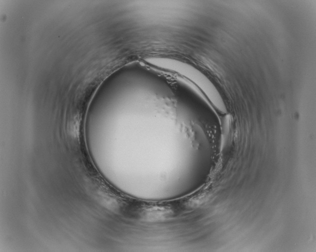 X0000088020315200705251058