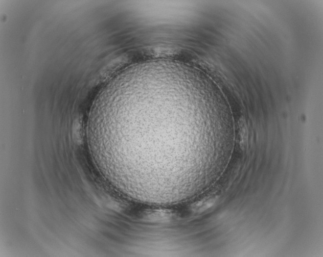 X0000088020316200705251058