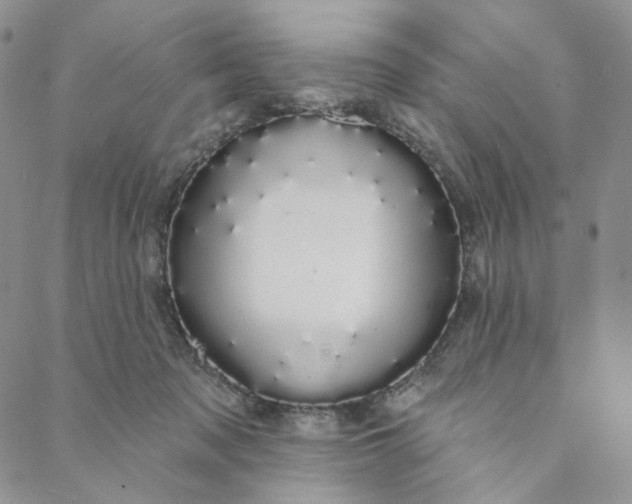 X0000088020317200705251058