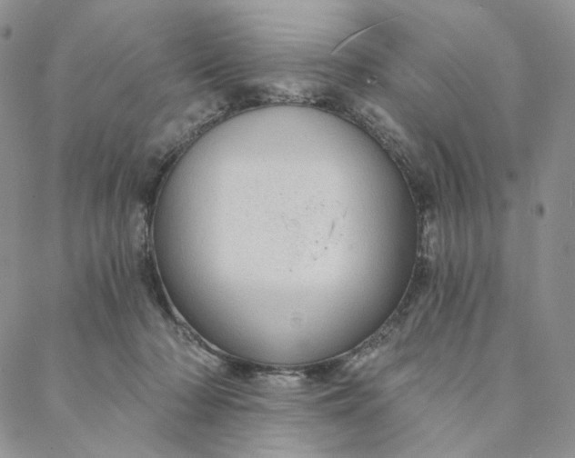 X0000088020318200705251058