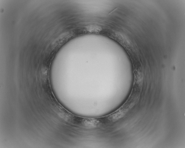 X0000088020321200705251058