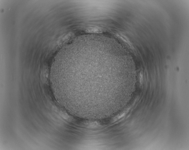 X0000088020322200705251058