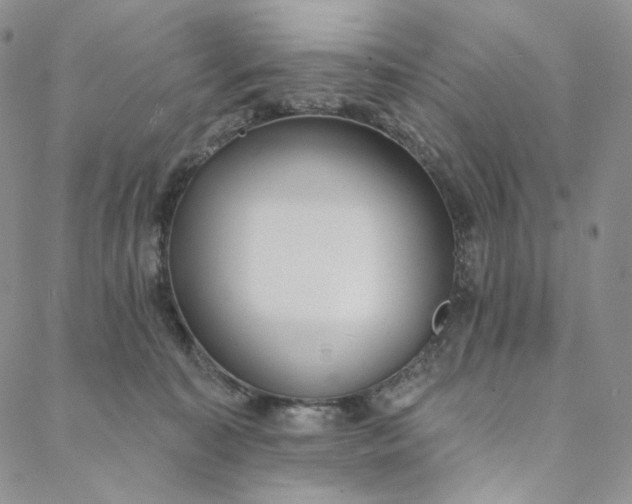 X0000088020323200705251058