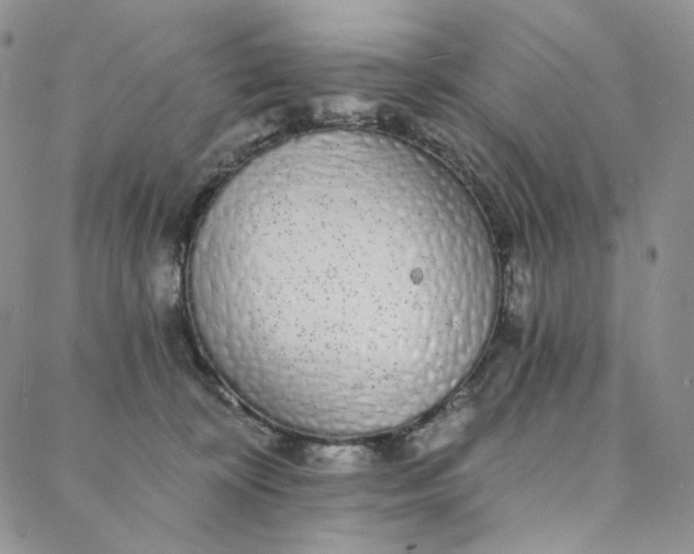 X0000088020324200705251058