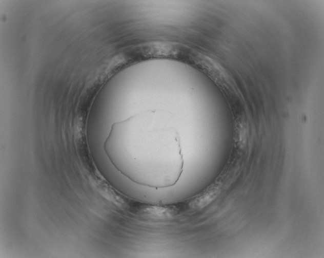 X0000088020326200705251058