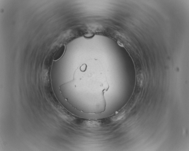 X0000088020327200705251058