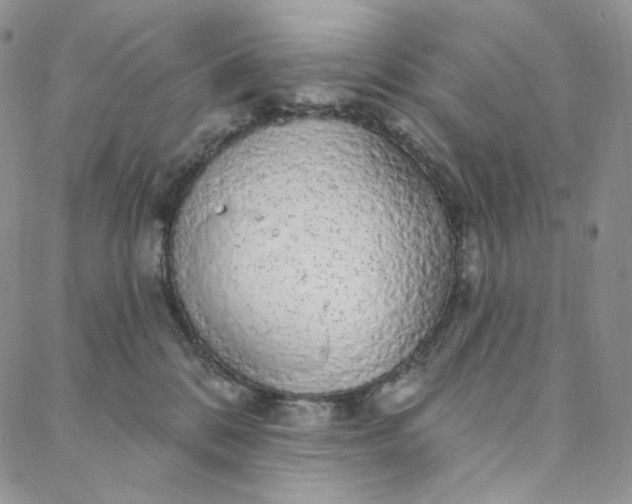 X0000088020328200705251058