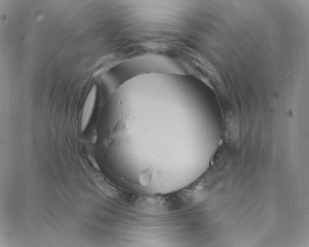 X0000088020329200705251058