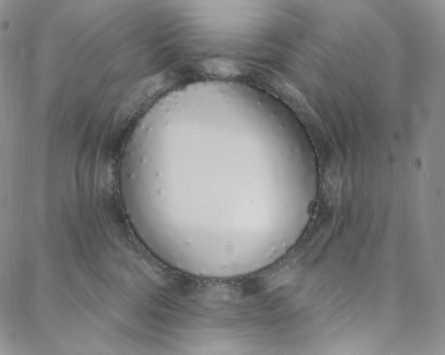 X0000088020330200705251058