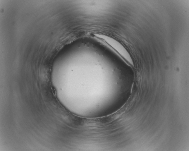 X0000088020331200705251058