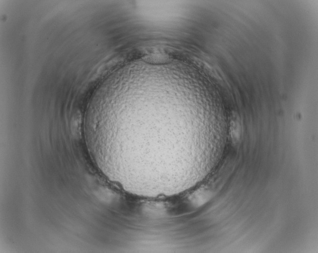 X0000088020332200705251058