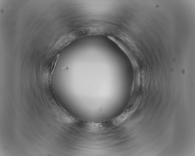 X0000088020333200705251058