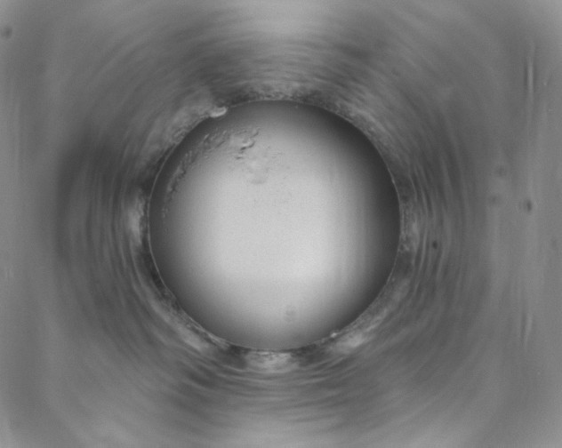 X0000088020334200705251058