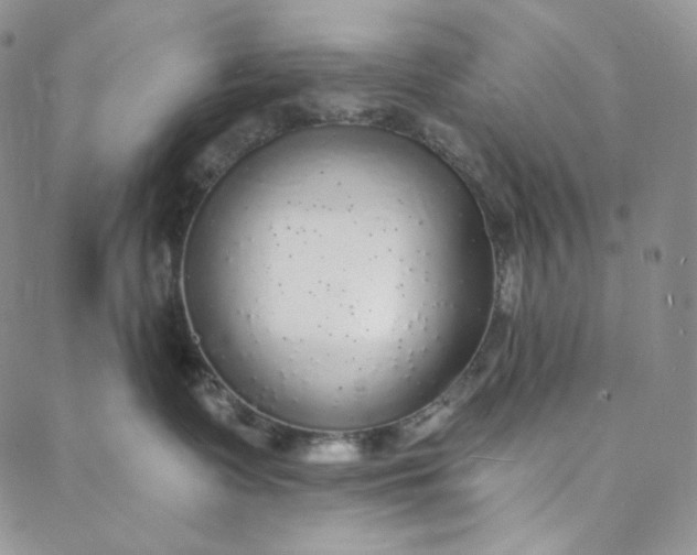 X0000088020335200705251058