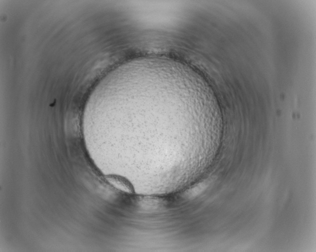 X0000088020336200705251058