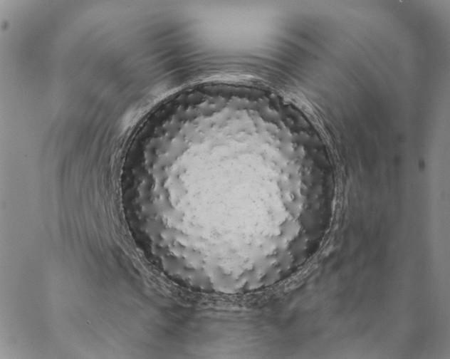 X0000088020337200705251057