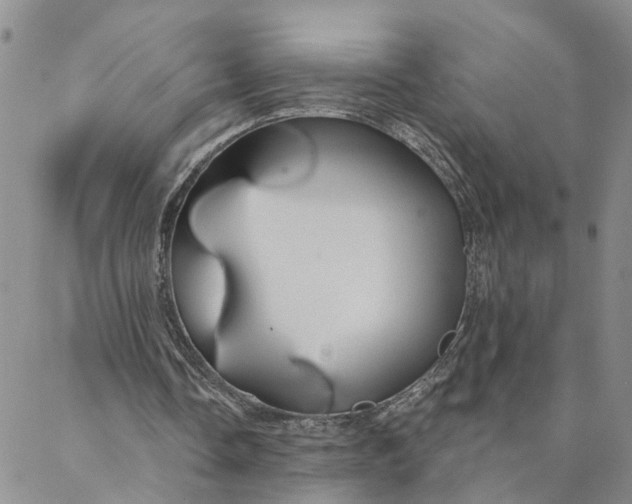 X0000088020338200705251057