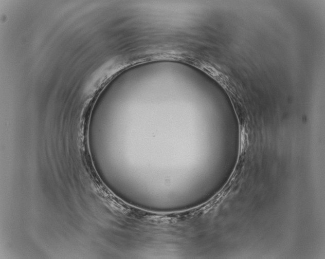 X0000088020339200705251057