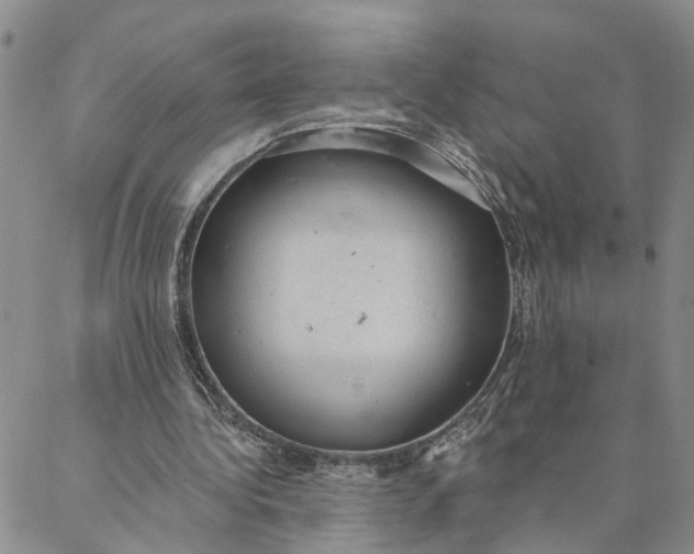 X0000088020340200705251057