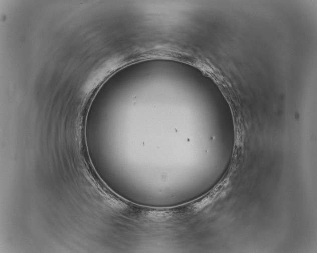 X0000088020341200705251057