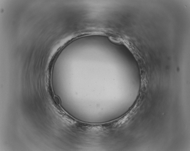 X0000088020342200705251057