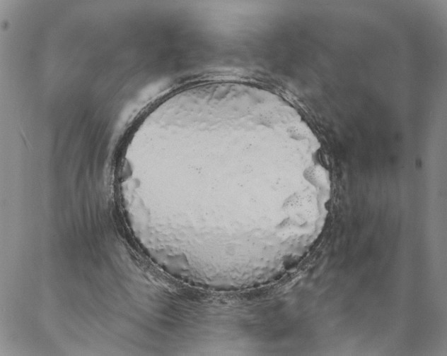 X0000088020343200705251057