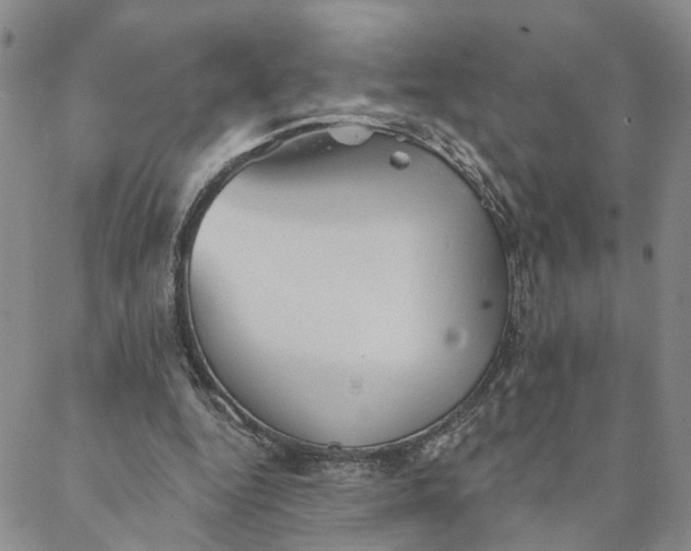 X0000088020344200705251057