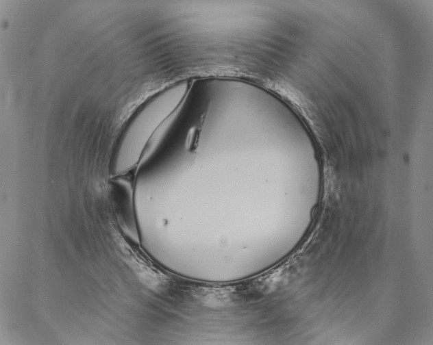 X0000088020345200705251057