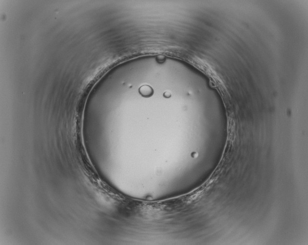 X0000088020346200705251057